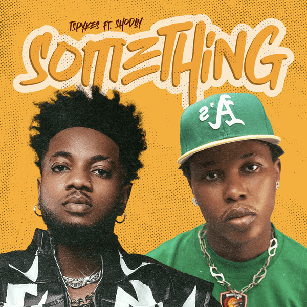 Tspykes – Something Something Remix ft. Shoday